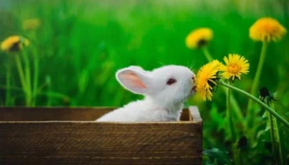 互联网公司全能之路:从零基础到能培训新人,盘点7款剪辑工具